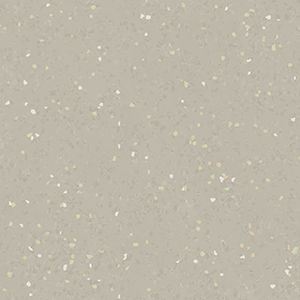 2784SilverCrown
