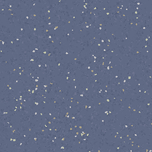 2939Lapis