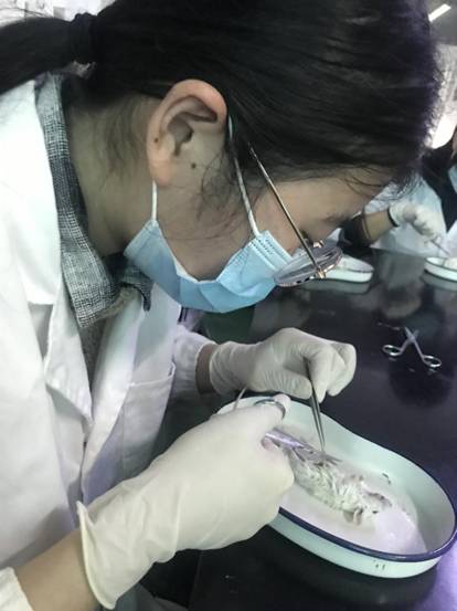 17071126+钟一平+广东省第二中医院(广东省中医药工程研究院)5